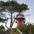 Profile picture of Nynke Bruinsma